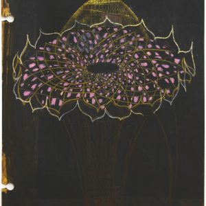 Galaxy Sunflower
