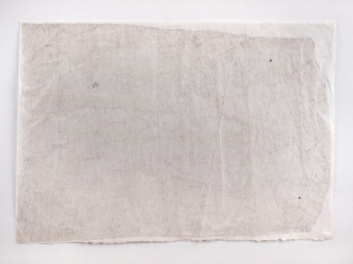 Lines Of A Page With Two Mistakes