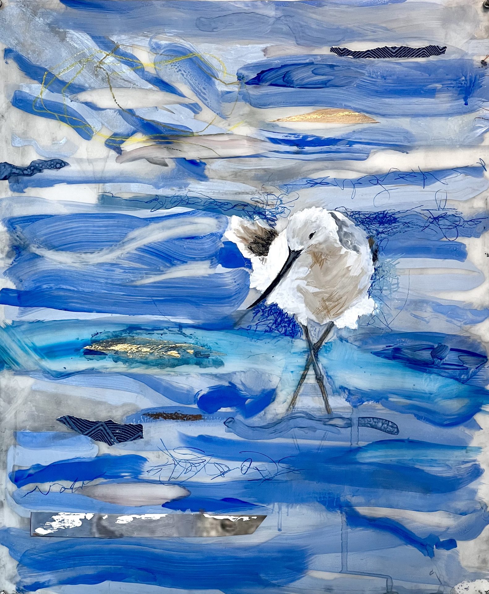 avocet-on-shore-gut-gallery