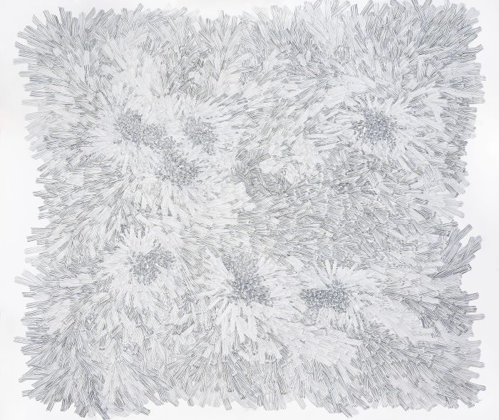 Hiper Organico 15