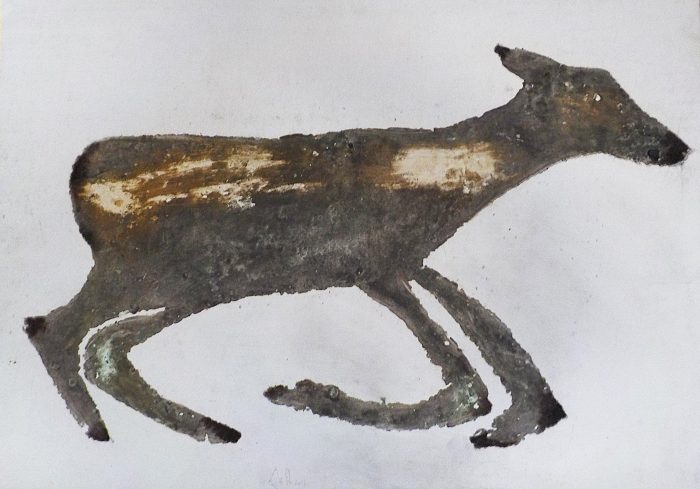 Animal