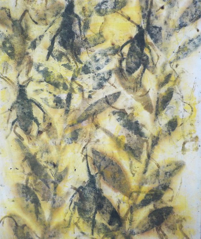 Crickets