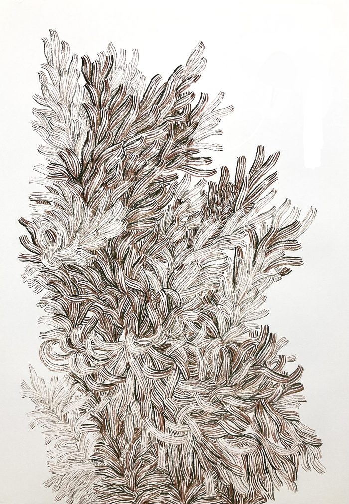 Hiper Organico 35