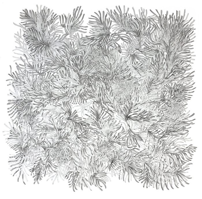 Hiper Organico 26