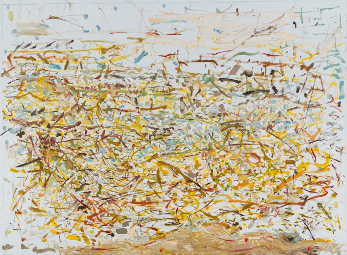 COH_ 45.1h x 61w x 1.4d (114.5x155x3.6cm), $6,700, Desert (oil on canvas), 2020