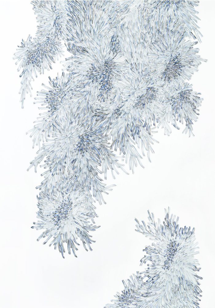 Hiper Organico 40
