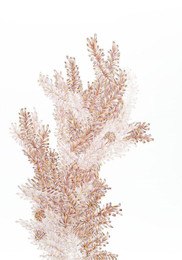 Hiper Organico 42