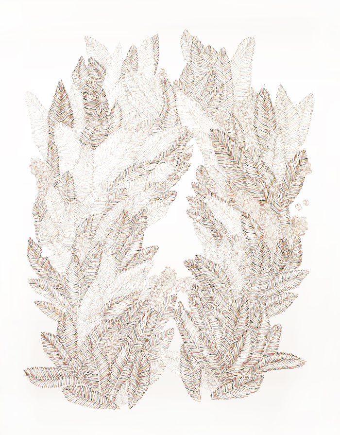 Hiper Organico 49