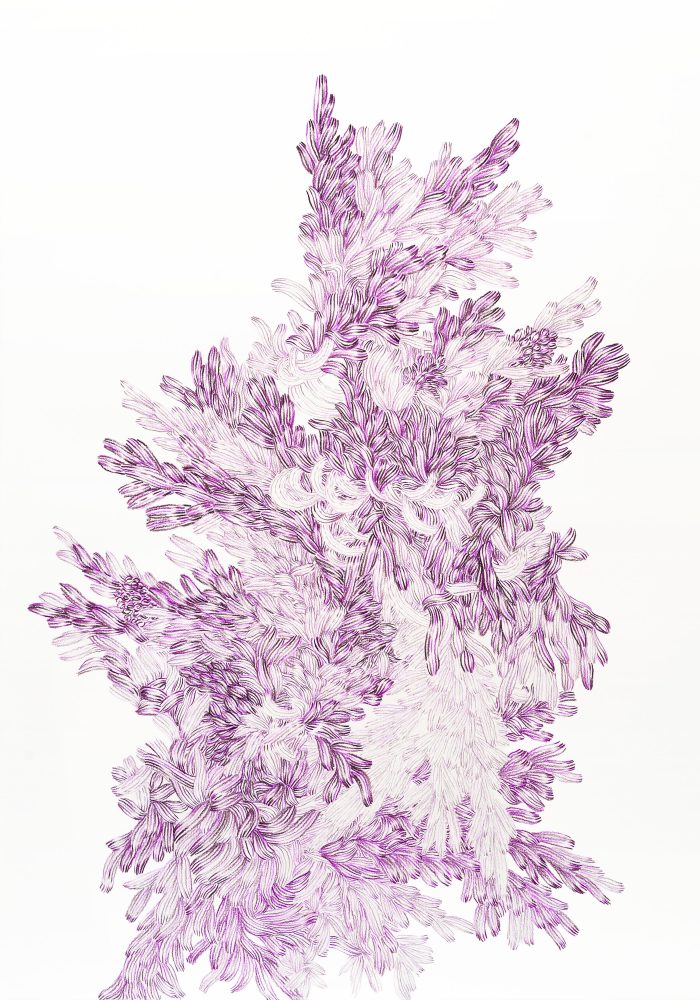 Hiper Organico 43