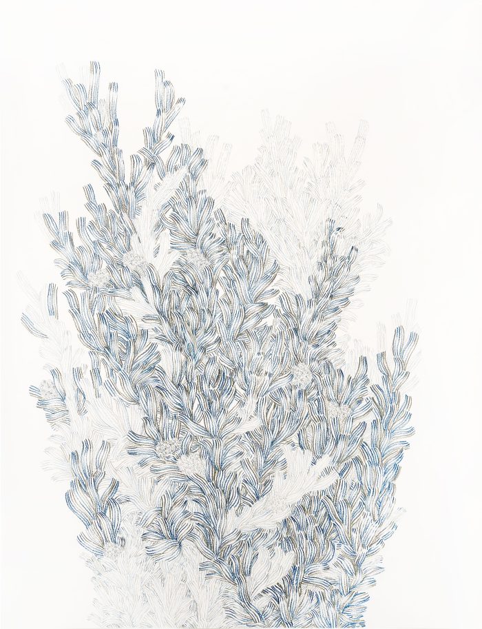 Hiper Organico 48